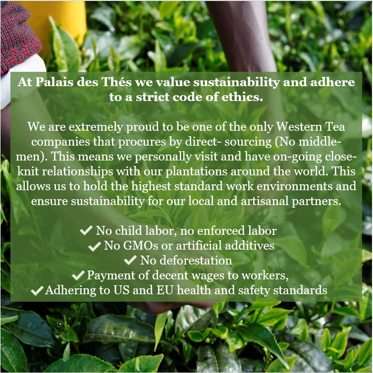 Palais des Thés - Tea of Lords - Earl Grey Black Tea & Bergamot - 3.5oz Loose Leaf Metal Gift Tin, Serves 20-25 Cups