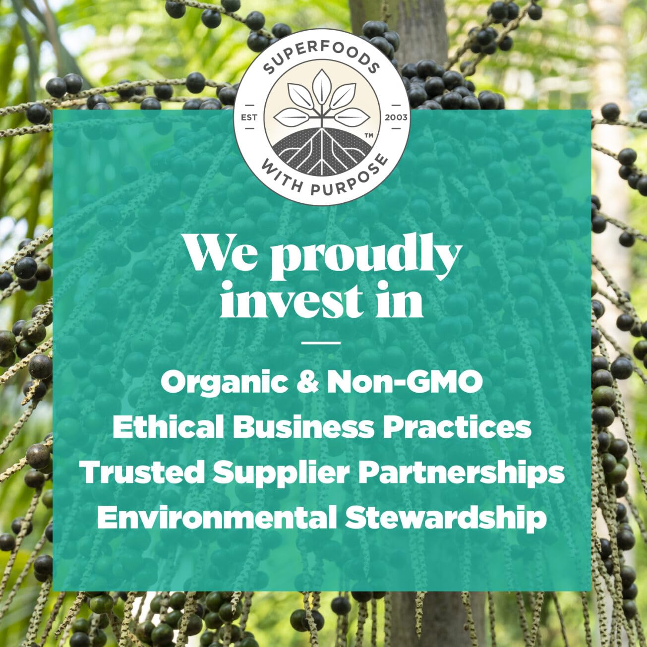 Navitas Organics Acai Powder – for Smoothie Bowls, Oatmeal, Dips, Sauces & More – Antioxidants, Omega 3 6 9, Fiber - USDA Organic, Non GMO, Kosher, Gluten Free, Keto (4oz. Bag, 38 Servings)