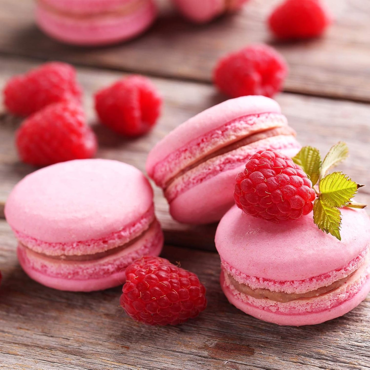 9 Pcs Round Piping Tip,Macaron Piping Tip,Cake and Cookie Decorating Plain Tube Set