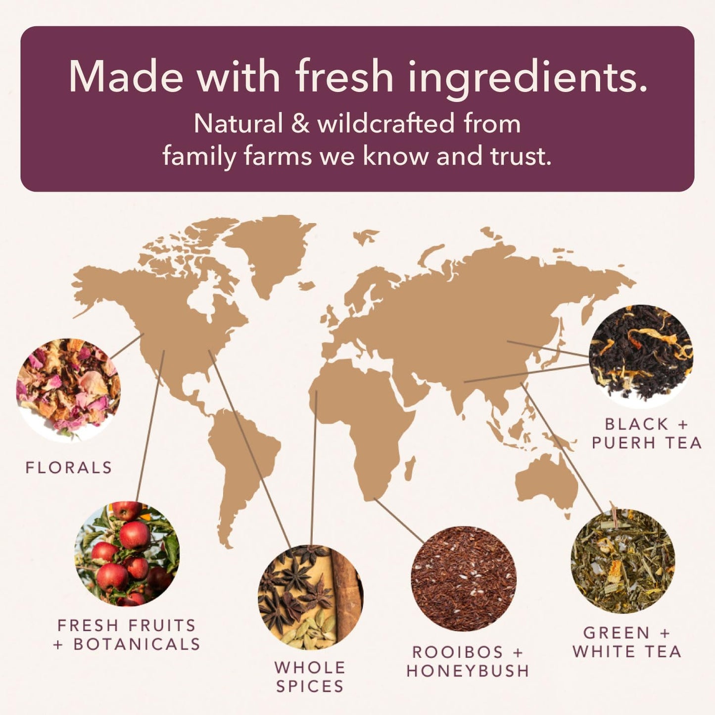 Herbal Tea Sampler – 5 Caffeine-Free Loose Leaf Blends for Sleep and Relaxation, Fruity and Dessert-Inspired Flavors, 75 to 100 Cups – Handcrafted in USA – Plum Deluxe