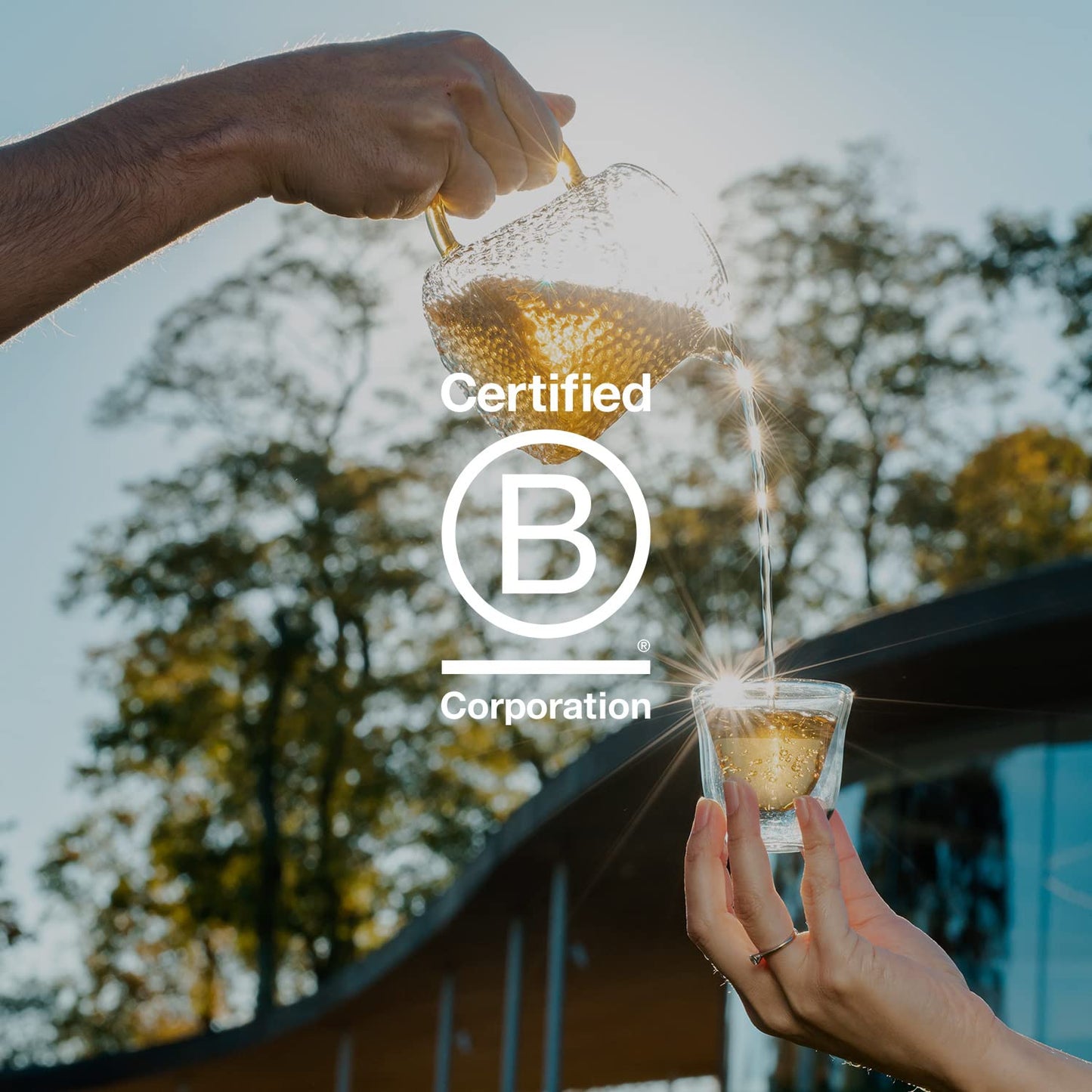 Grace Farms SHINE Wellness Organic Tea Blend (16 Pyramid Sachets) | Hydrating Tea For Skin and Detox | Rooibos, Rosehips, Hibiscus, Tulsi, and Haritaki | Fairtrade and Kosher | Gives Back 100% of Profits