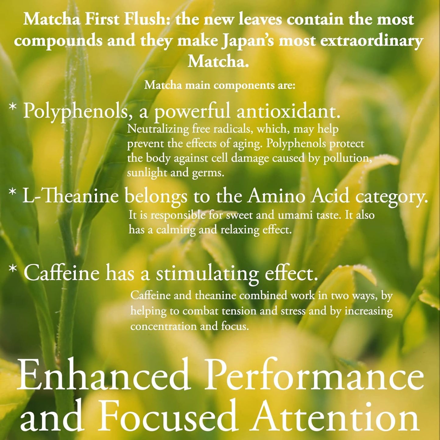 Organic Ceremonial Grade Matcha | Emerald Green, Creamy & Sweet (for a matcha) | Japanese - First Harvest -Hand Picked - Stone Milled | By Pantenger