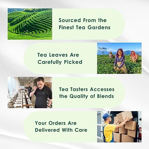 Tealeaf & Co. Mint Green Tea Bags Blended with Fresh Herbs - Spearmint & Peppermint Tea - Contains Low Caffeine - Gluten Free - 100 Teabags (7.055oz/200gm)