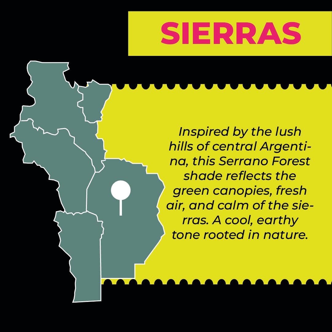 BALIBETOV Yerba Mate Cup – Vacuum Insulated Stainless Steel Gourd with Silicone Cover & Non-Slip Base – Includes 2 Bombillas & Cleaning Brush – Unique Design, Easy to Clean