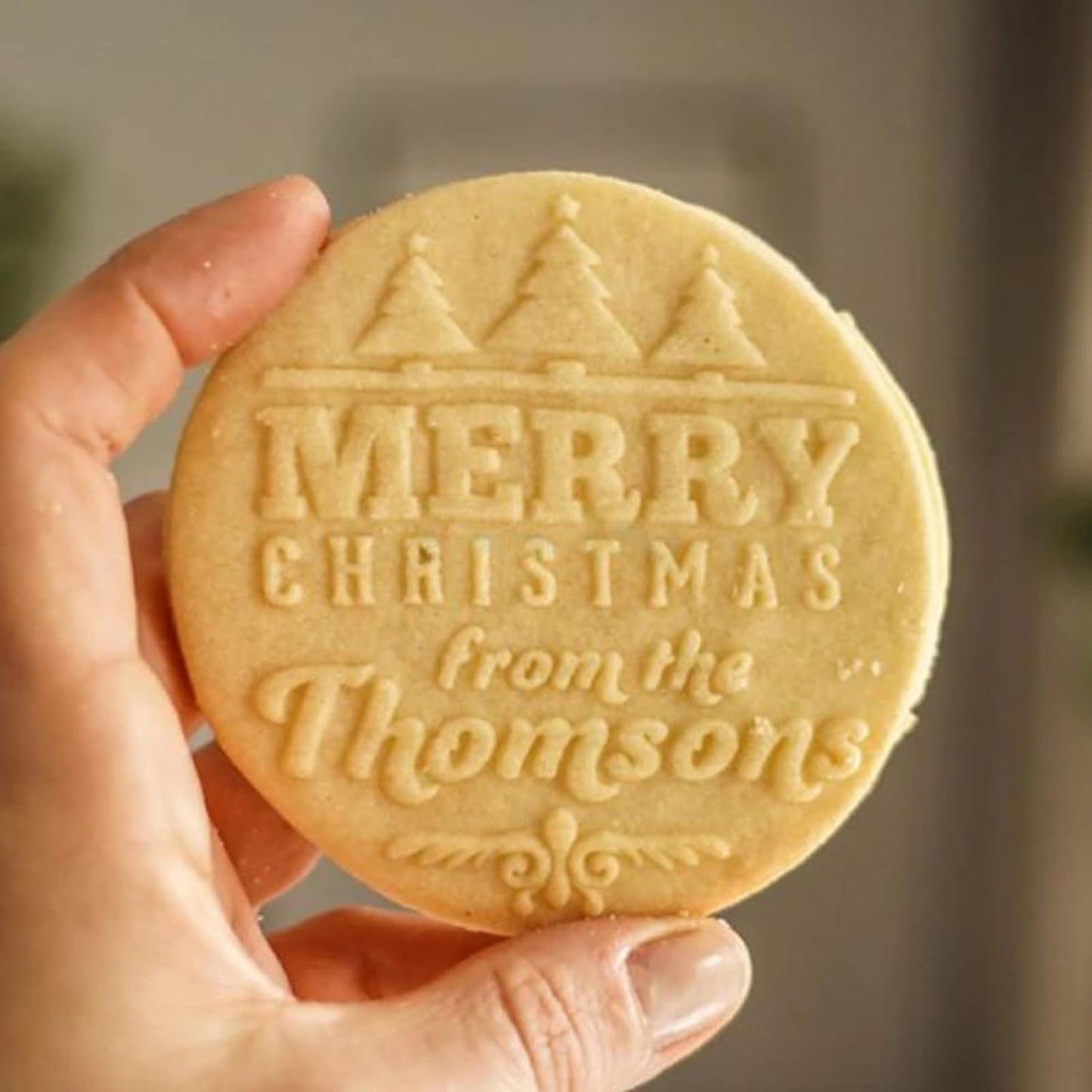 2025 Personalized Christmas Cookie Stamp Unique 3D Embossed Design Fun Tool for Baking Art (B)