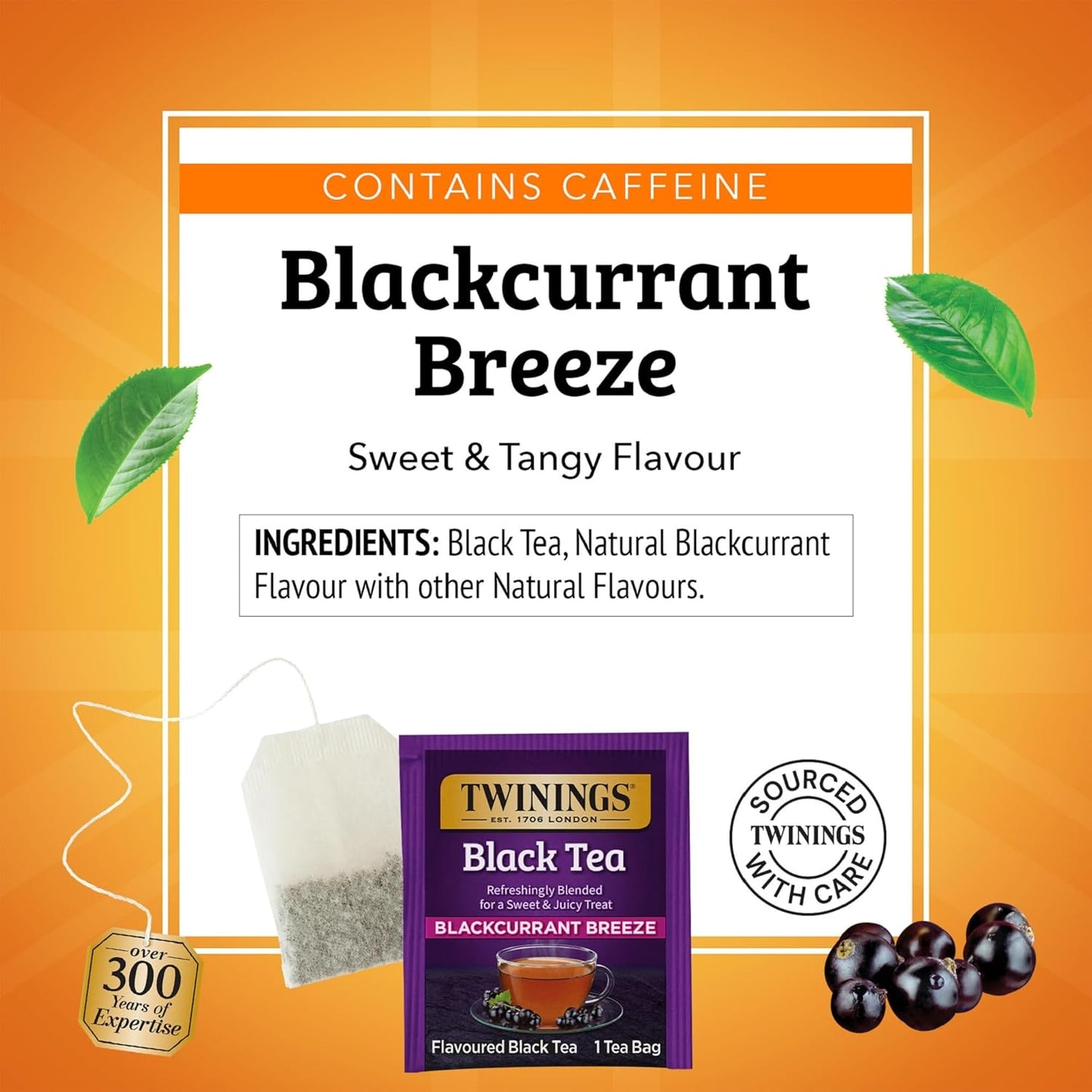 Twinings Blackcurrant Breeze Black Tea Individually Wrapped Bags, 20 Count (Pack of 1), Sweet, Tangy Taste, Caffeinated, Enjoy Hot or Iced, 20 Teabags