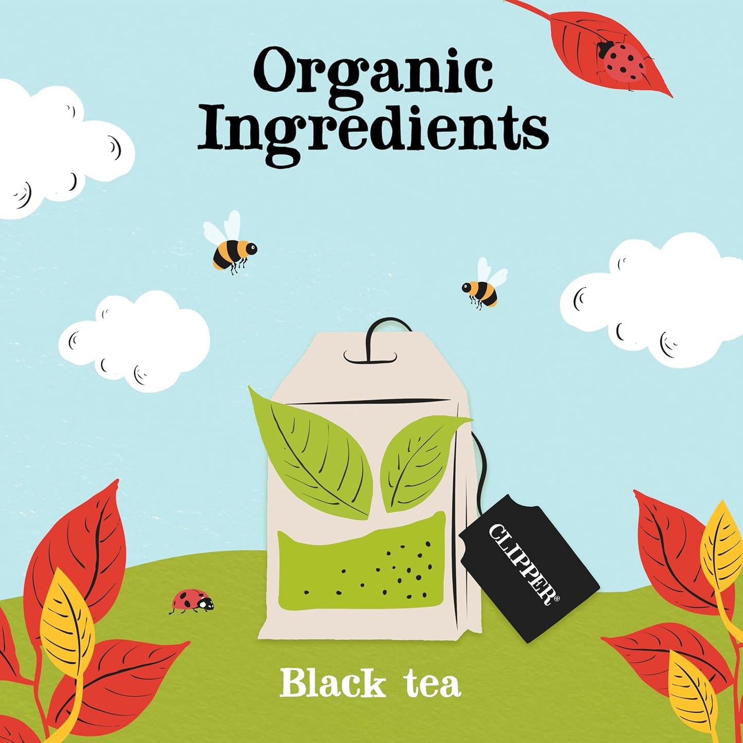 Clipper Tea, English Breakfast, Fairtrade, Organic, Plant-Based, Caffeinated British Tea, 6 Pack, 120 Unbleached Tea Bags