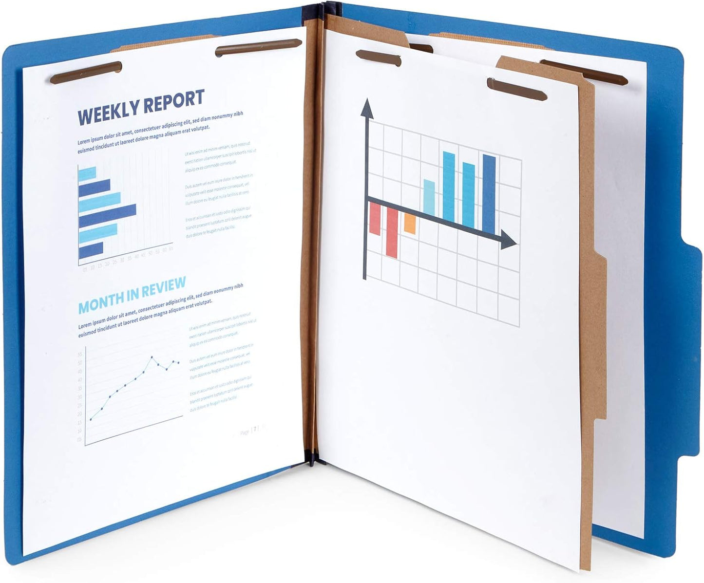 10 Dark Blue Classification Folders - 1 Divider - 2 Inch Tyvek Expansions - Durable 2 Prongs Designed to Organize Standard Medical Files, Office Reports - Letter Size, Dark Blue, 10 Pack