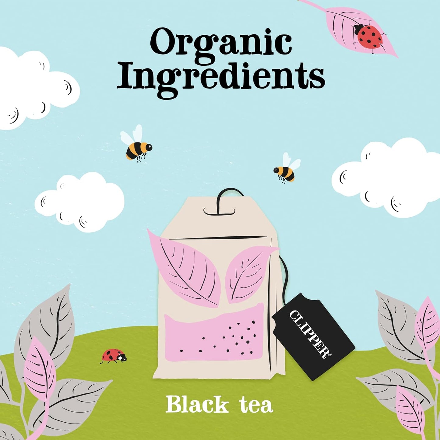 Clipper Tea, Earl Grey, Organic Tea with Citrus Begamot, Plant Based, Black Tea, Caffeinated British Tea, 6 Pack, 120 Unbleached Tea Bags
