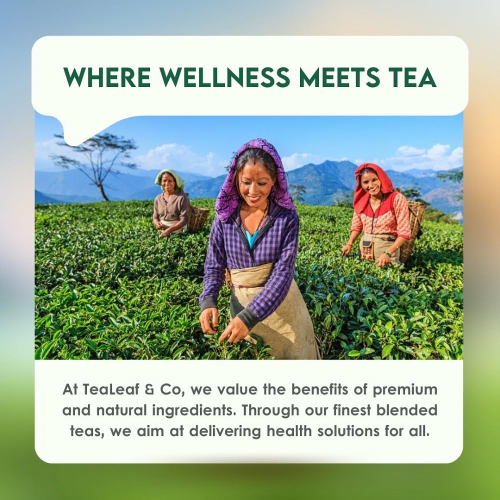 Sweet Hibiscus Cinnamon Green Tea Bags (50 Count), Caffeinated, Real and Natural, Blended with Fresh Herbs and Spices, Gluten Free