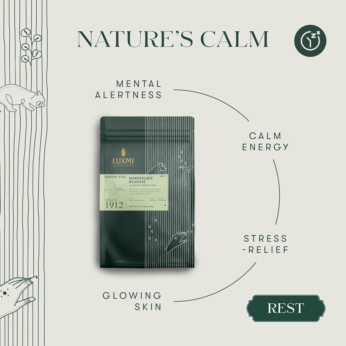 Luxmi Estates Midnight Bloom Organic Jasmine Tea (50 Tea Bags) Mildly Caffeinated Tea Bags For Relaxing, Calming, and Stress Relief, With Certified Organic Darjeeling Makaibari Green Tea