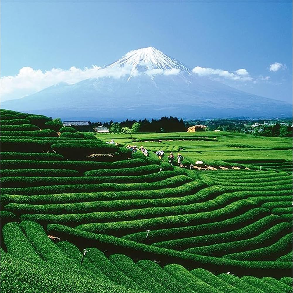 Palais des Thés - Paris For You By Day - Green Tea, Rose & Raspberry - 3.5oz Loose Leaf Metal Gift Tin, Serves 20-25 Cups