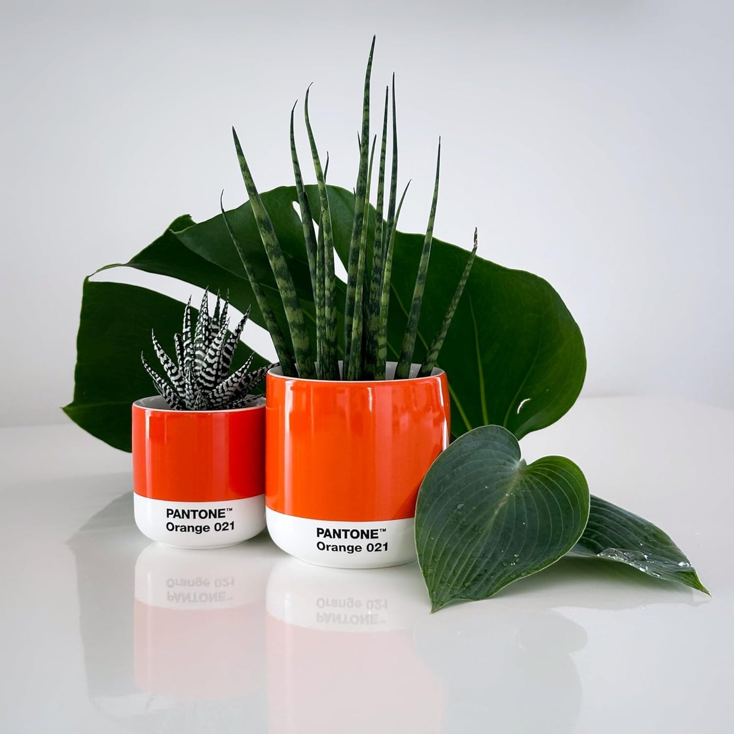 Copenhagen Design Pantone Macchiato Cup - Coffee, Latte, Macchiato Mug - 3.34oz/100ml, Orange 021