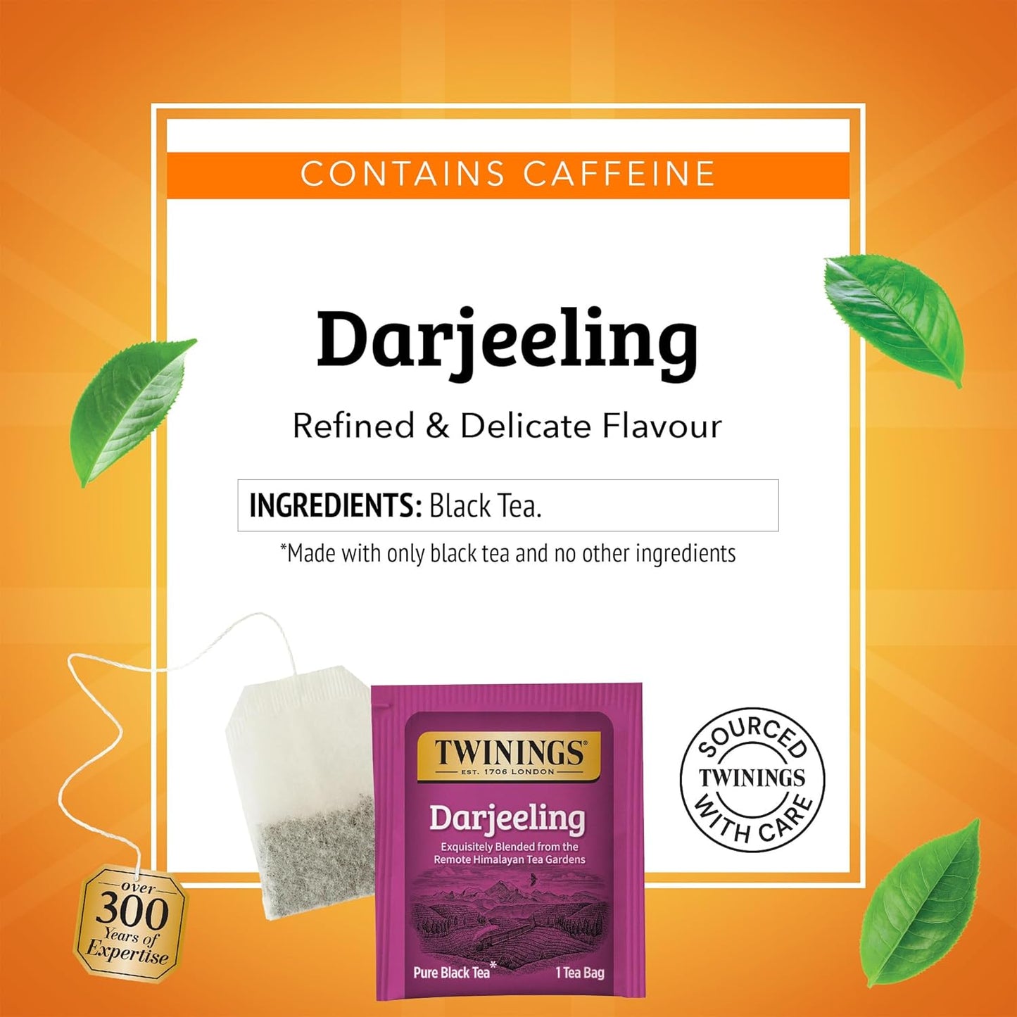 Twinings Darjeeling Black Tea Individually Wrapped Bags, 50 Count (Pack of 6), Delicate Light Taste, Caffeinated, Enjoy Hot or Iced, 300 Teabags
