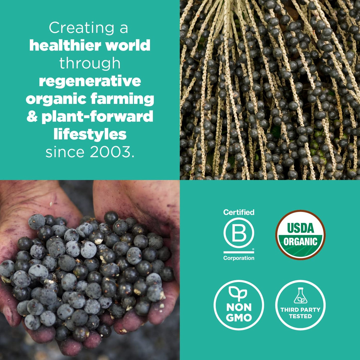 Navitas Organics Acai Powder – for Smoothie Bowls, Oatmeal, Dips, Sauces & More – Antioxidants, Omega 3 6 9, Fiber - USDA Organic, Non GMO, Kosher, Gluten Free, Keto (8oz. Bag, 76 Servings)