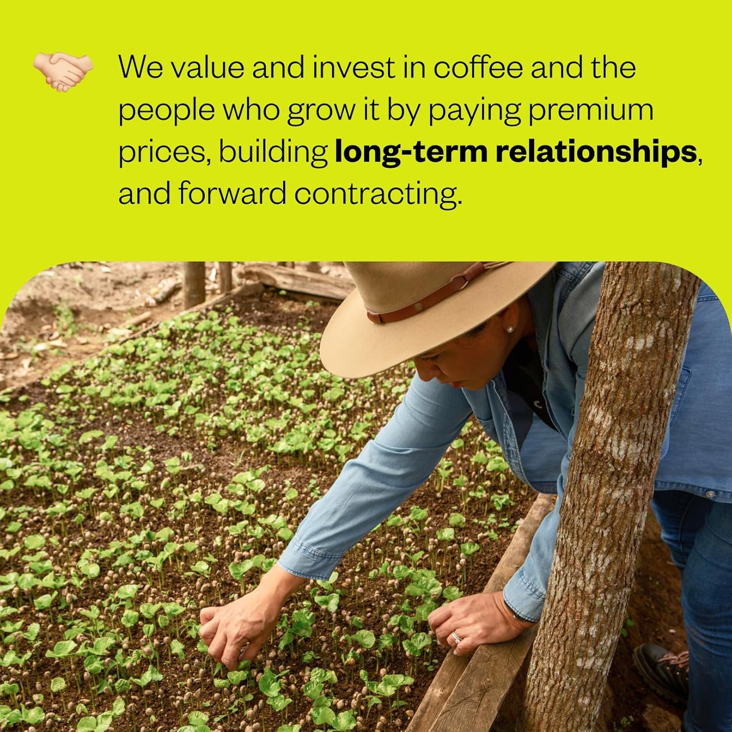 Counter Culture Coffee - Whole Bean Coffee - Multi-Pack - One 12oz Bag of Each (Big Trouble and Forty-Six)