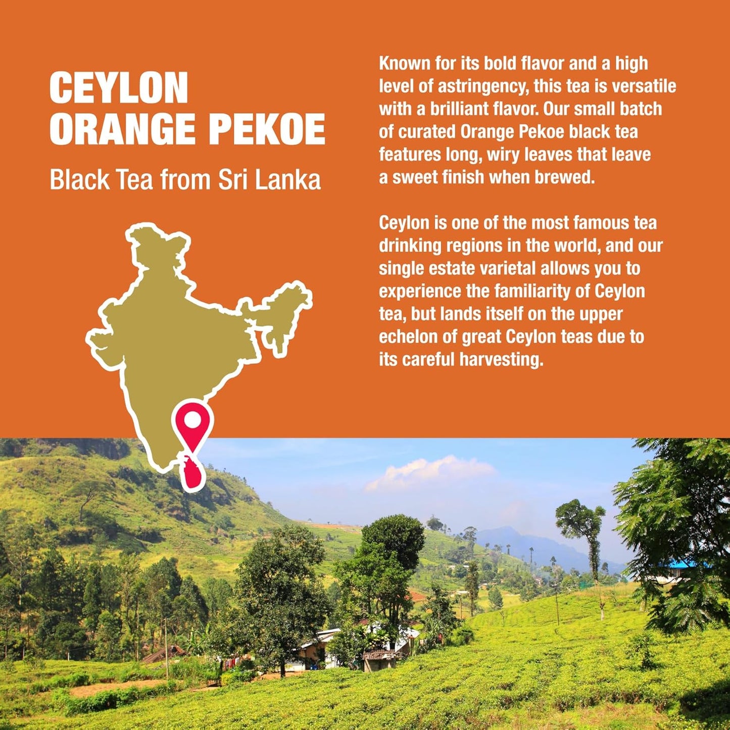 Tiesta Tea - Ceylon Orange Pekoe Black Tea, Loose Leaf, Single Origin Premium Black from Sri Lanka, Pure Unblended High Caffeinated, Hot or Iced Brew & Up to 50 Cups, 3oz Refillable Tin