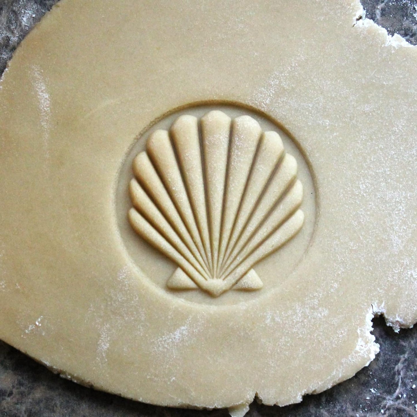Wood Cookie Stamp, 2.5 Inch (Scallop Shell CS-040)