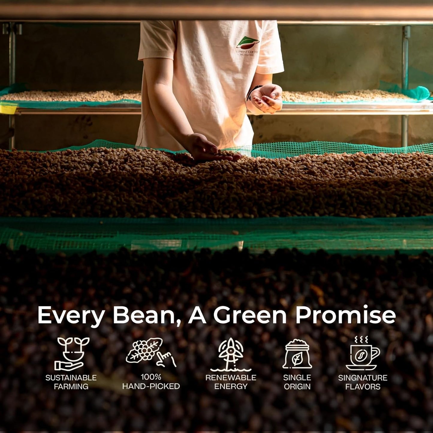 Conihat Whole Bean Coffee - 100% Vietnamese Premium Arabica, Dark Roast, Chocolate & Fruity Notes, Sweet Finish, Low Acid, Single Origin, Hand-Picked, 16 Oz Bag