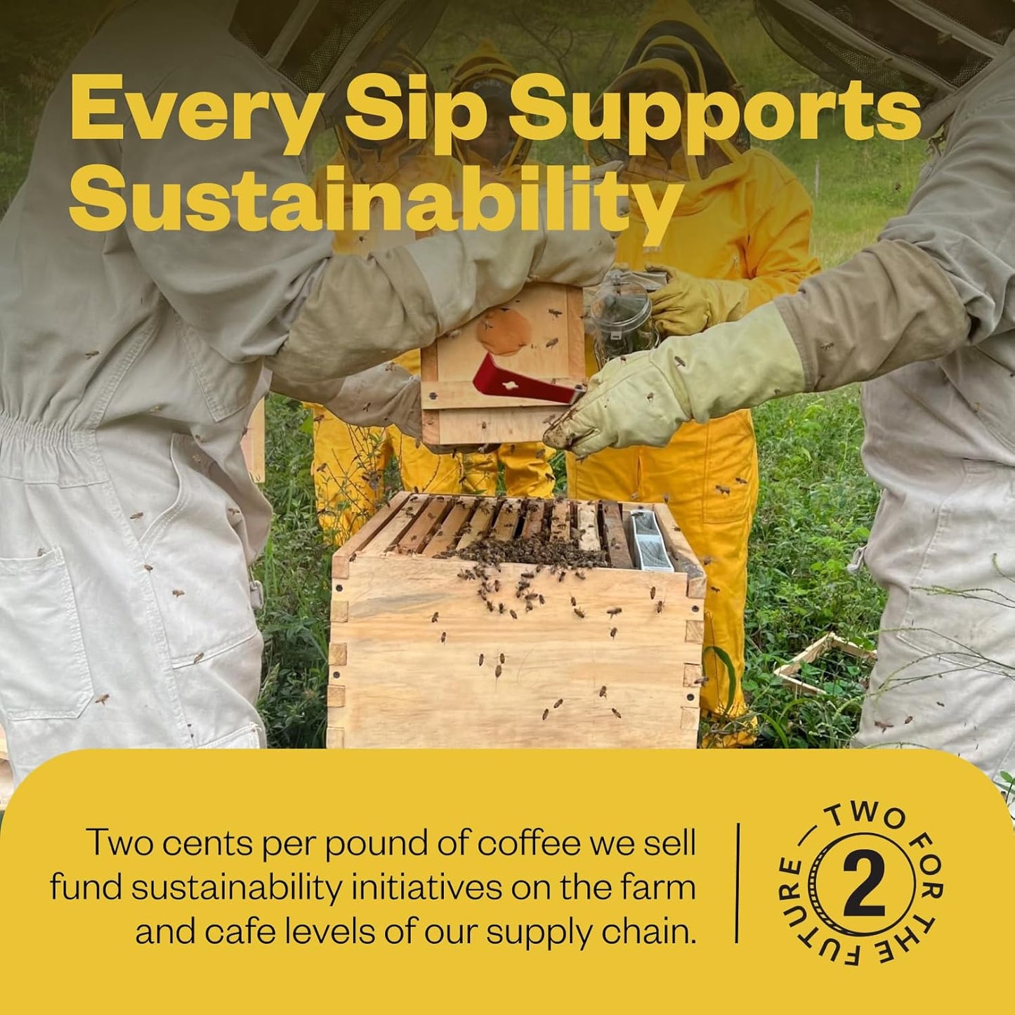 Counter Culture Coffee Hologram - Medium Roast, Sustainably Farmed, Kosher, Whole Bean Coffee, 12 oz (1 Bag)