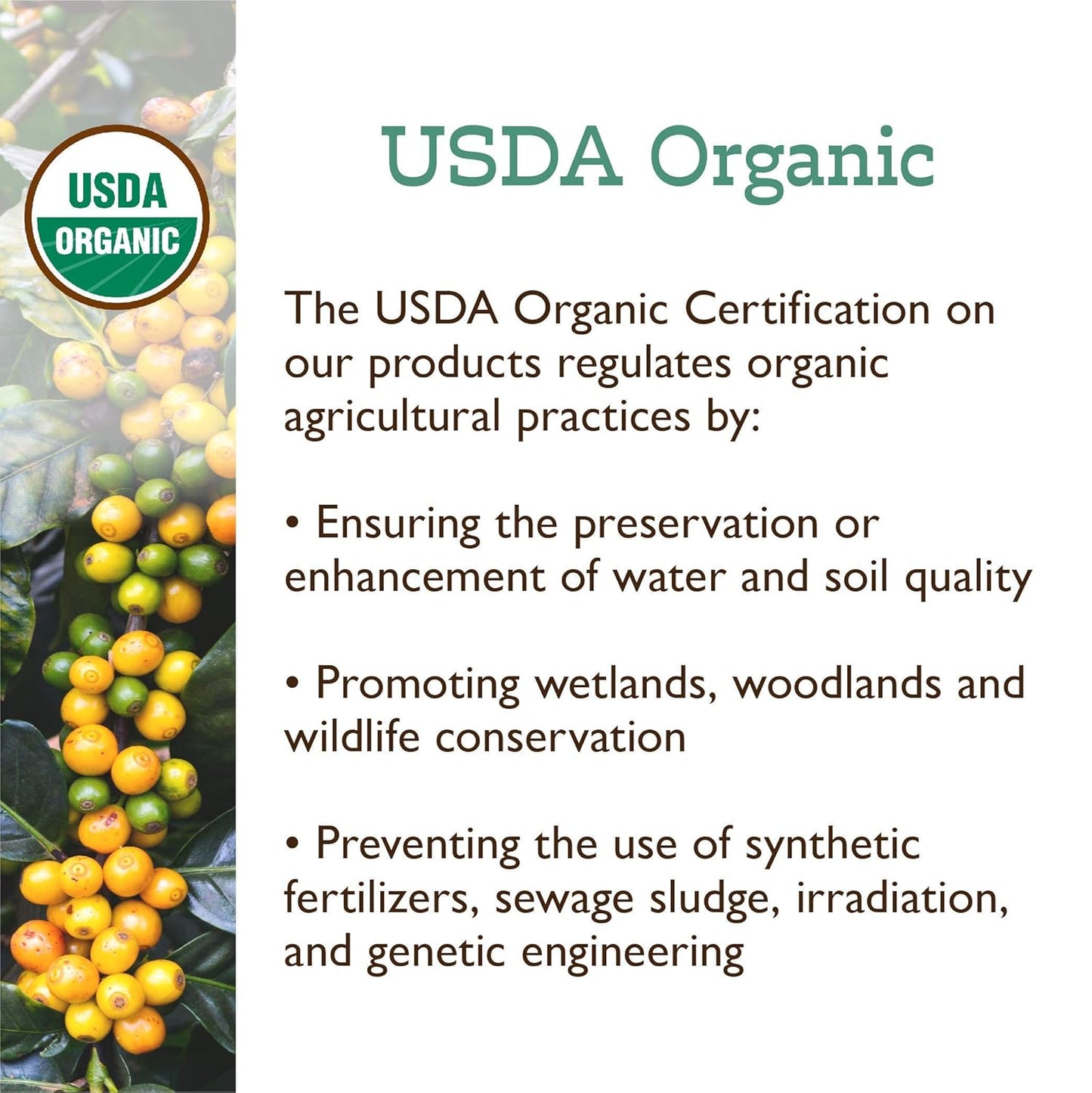 Fresh Roasted Coffee, Organic White Knight | USDA Organic, Kosher | Light Roast 12 oz, Ground