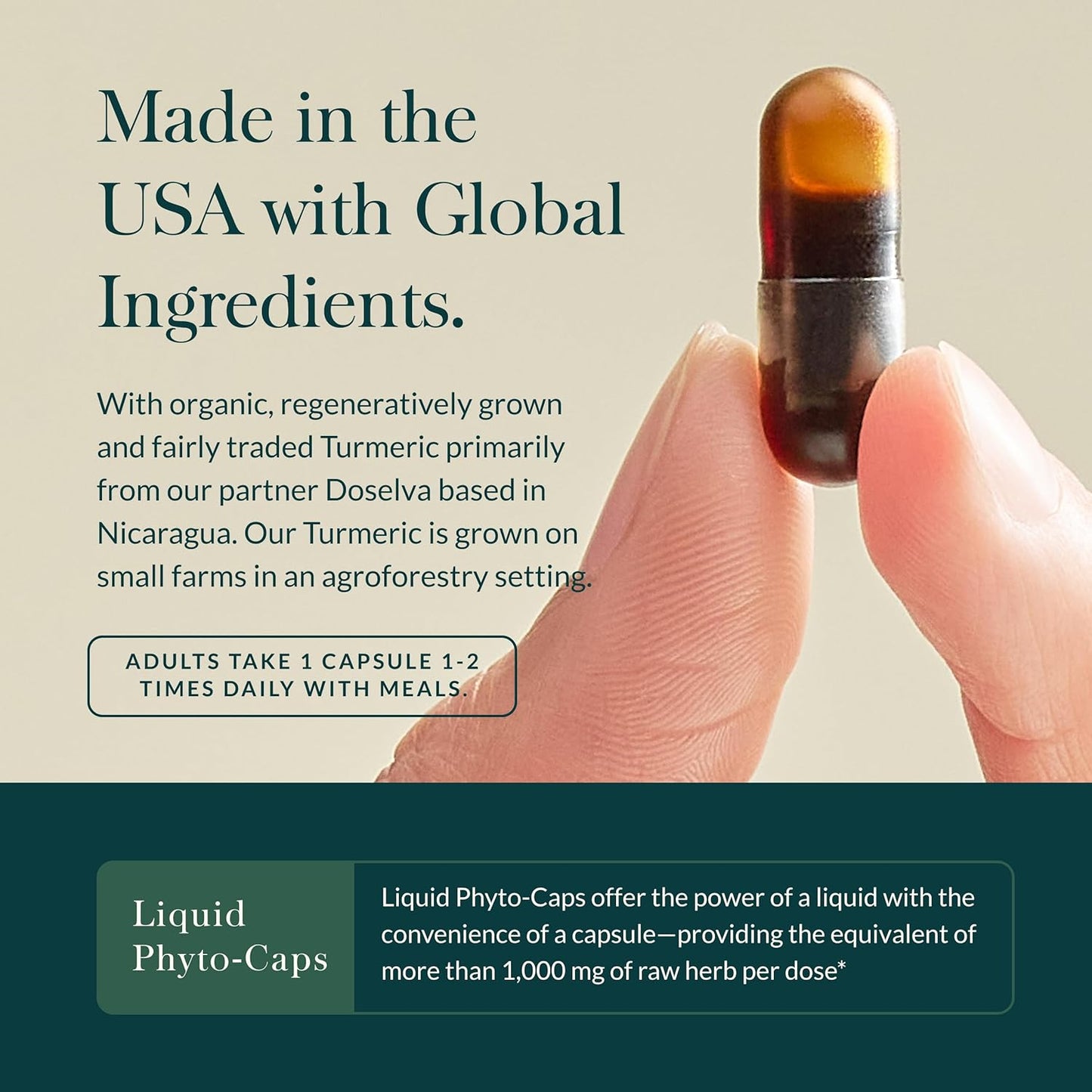 Gaia Herbs Turmeric Supreme Extra Strength - Supports Occasional Swelling from Normal Wear & Tear - with Turmeric Curcumin & Black Pepper - 30 Vegan Liquid Phyto-Capsules (Up to 30-Day Supply)