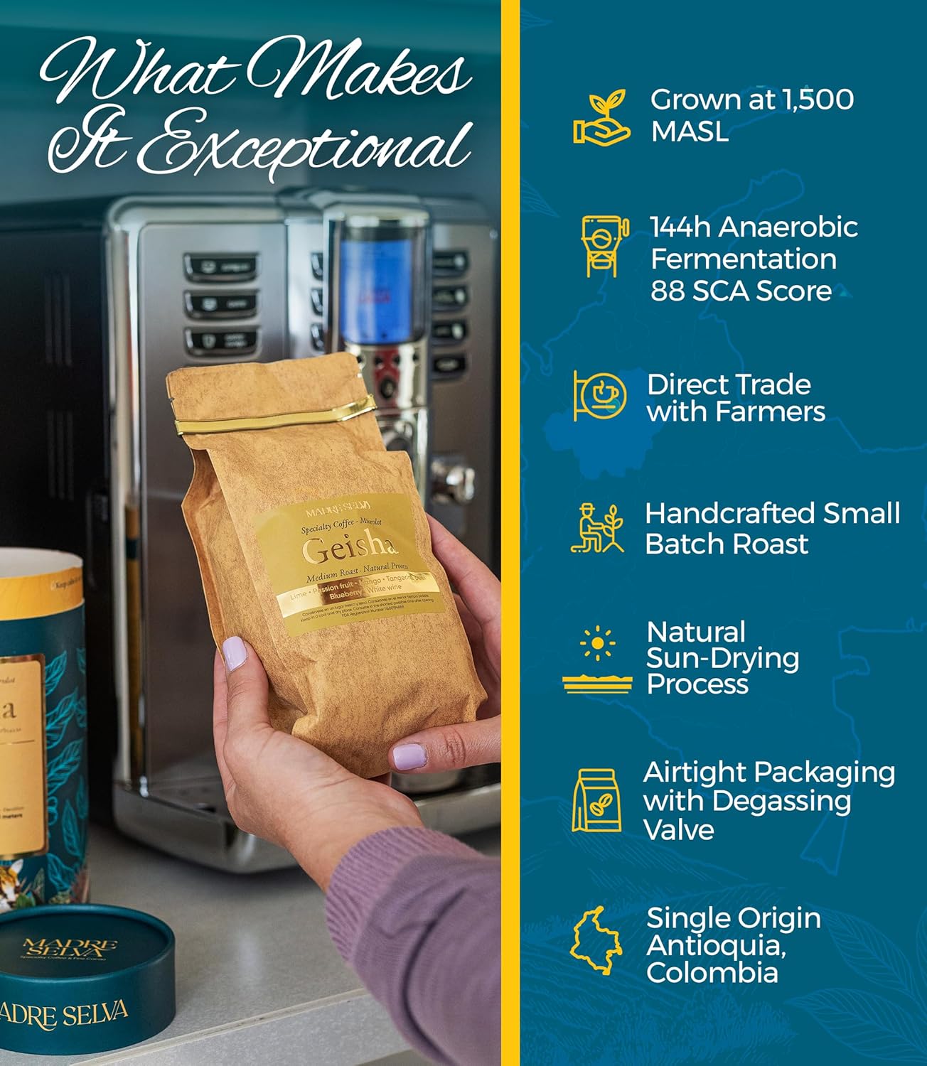 Colombian Geisha Coffee Whole Bean Medium Roast Arabica Gourmet Fresh Single Origin Premium Low Acid Exotic Notes Rich Aroma Smooth Flavor Quality High Altitude Giftable Pack Freshness Lock 8.8oz 250g