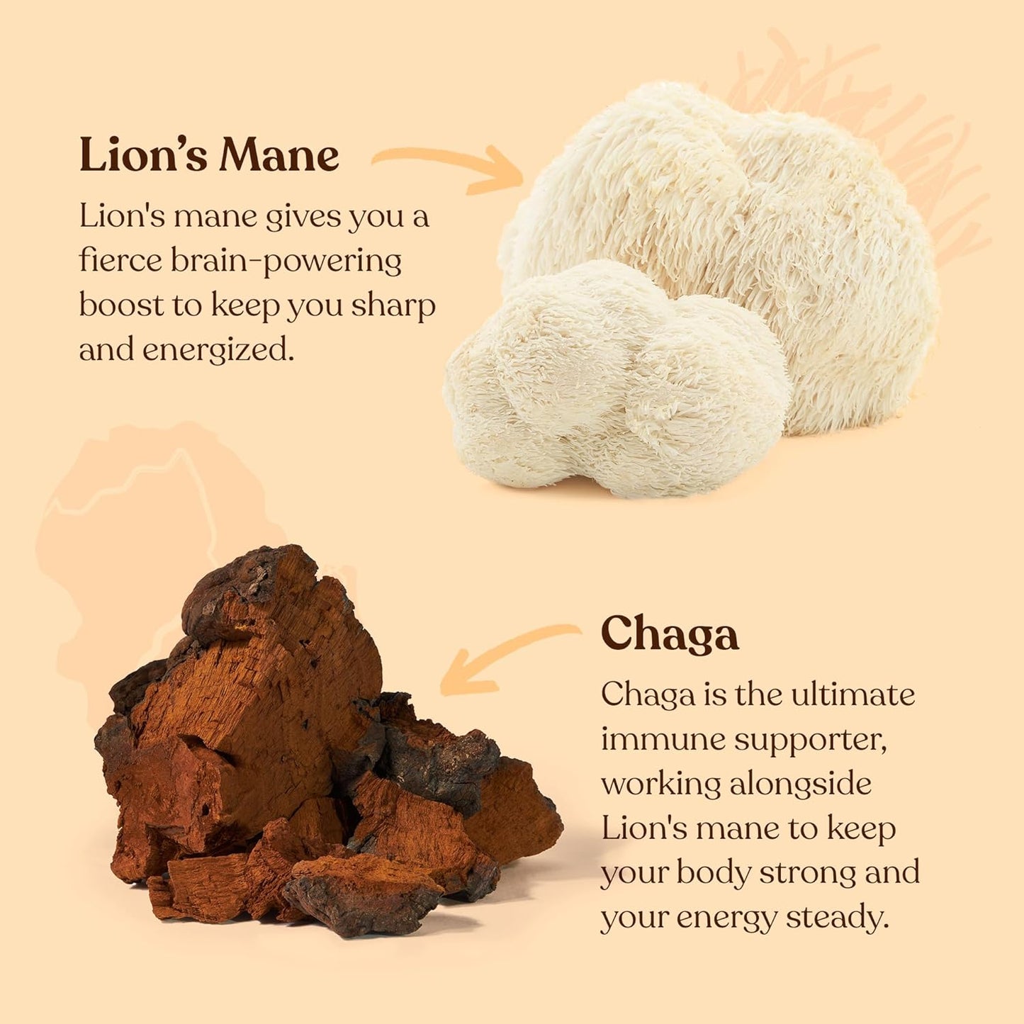 Four Sigmatic Focus Mushroom Coffee | Organic Ground Coffee with Lion's Mane Mushroom and Chaga for Better Focus and Immune Support | 12oz Bag