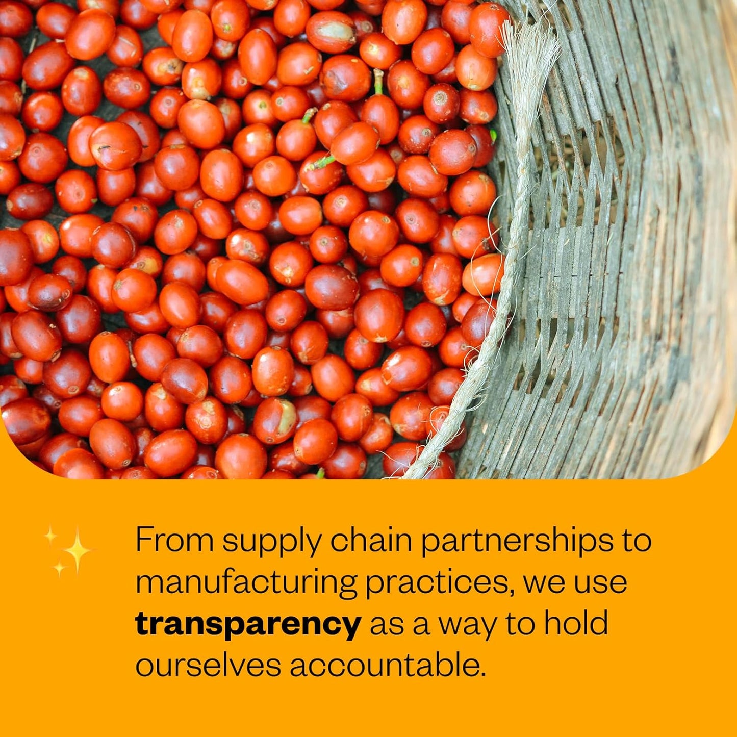 Counter Culture Coffee - Whole Bean Coffee - Multi-Pack - One 12oz Bag of Each (Big Trouble and Slow Motion)