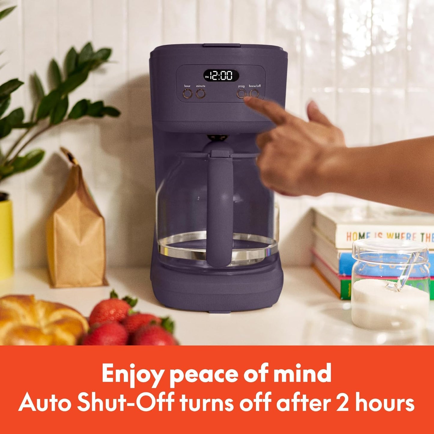 bella 12 cup Programmable Coffee Maker