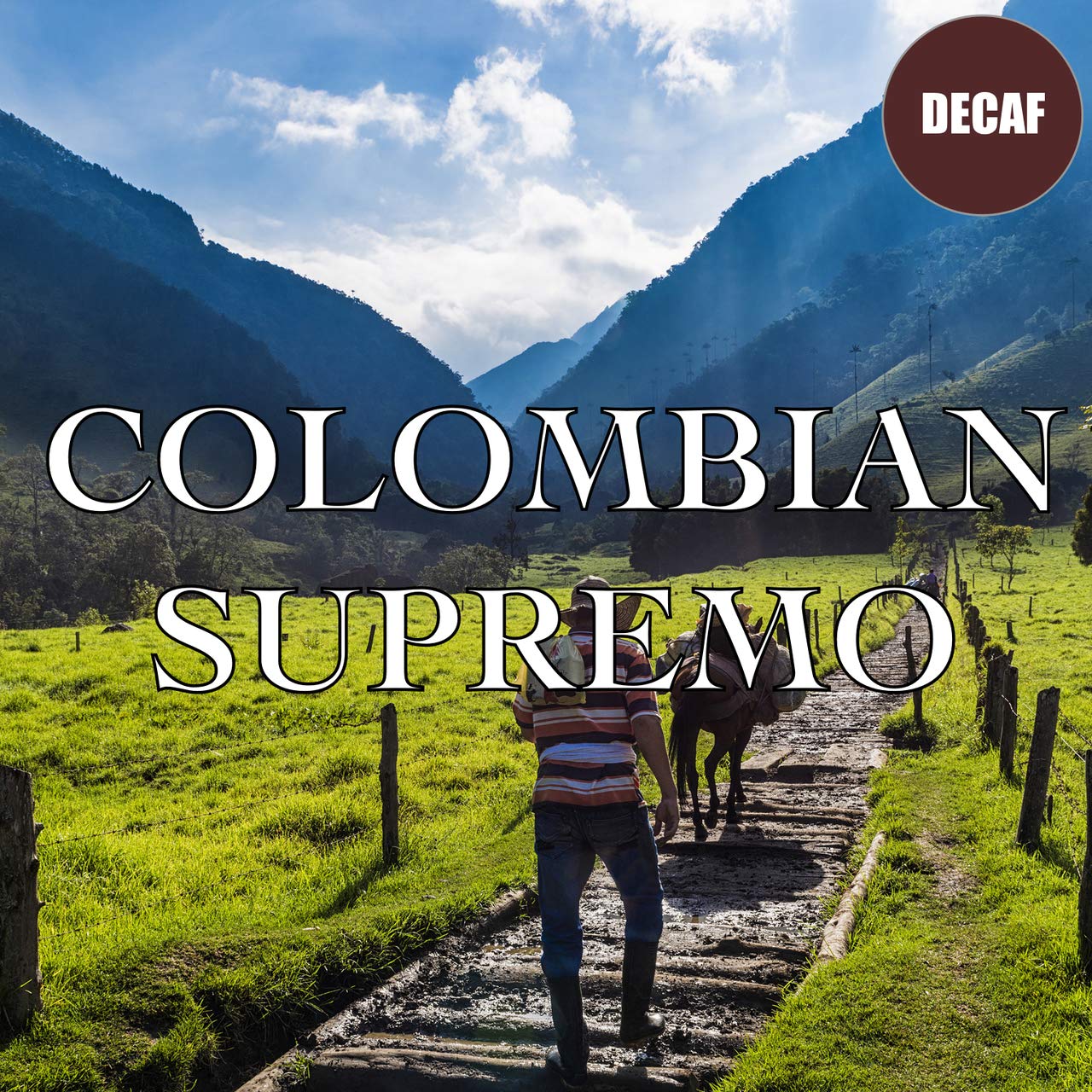 Colombian Supremo Decaf Coffee, Whole Bean, Swiss Water Processed, Fair Trade, Fresh Roasted, 5 lbs