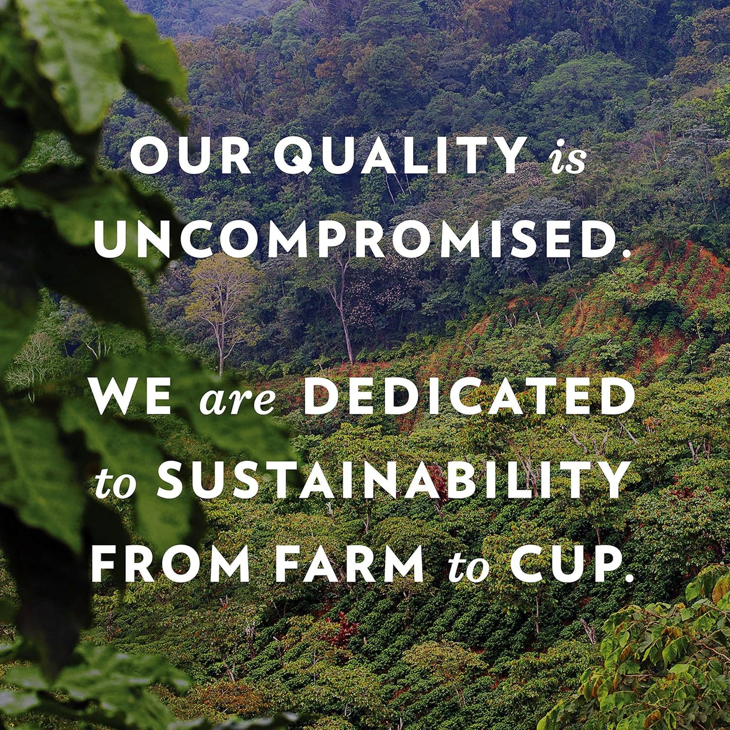 Community Coffee New Orleans Blend 24 Count Coffee Pods, Special Dark Roast, Compatible with Keurig 2.0 K-Cup Brewers, 24 Count (Pack of 2)